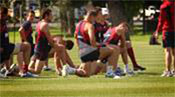 ShoreTel Creates Winning Score for Melbourne Football Club