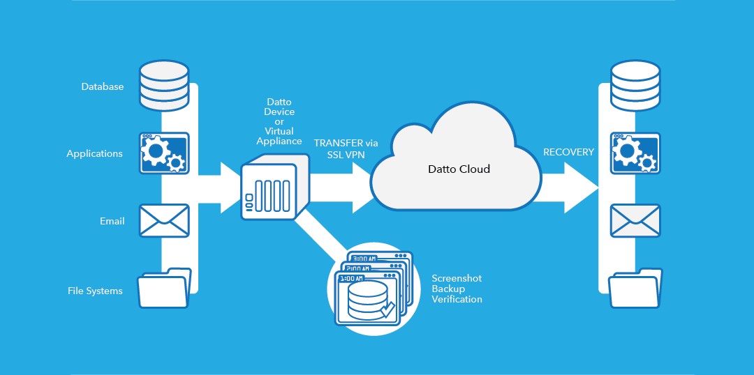 Datto Hybrid Cloud Backup Overview Infographic
