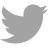 Twitter Icon