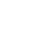 Wordpress Icon